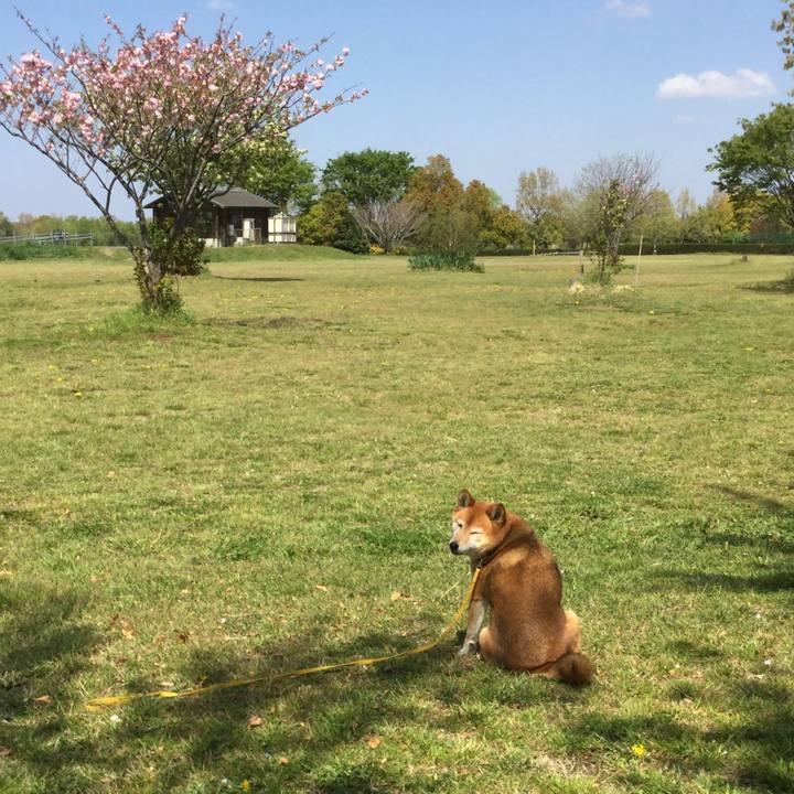 6679344d 9c25 4dd8 a051 23671d09a5d7 1555558103847