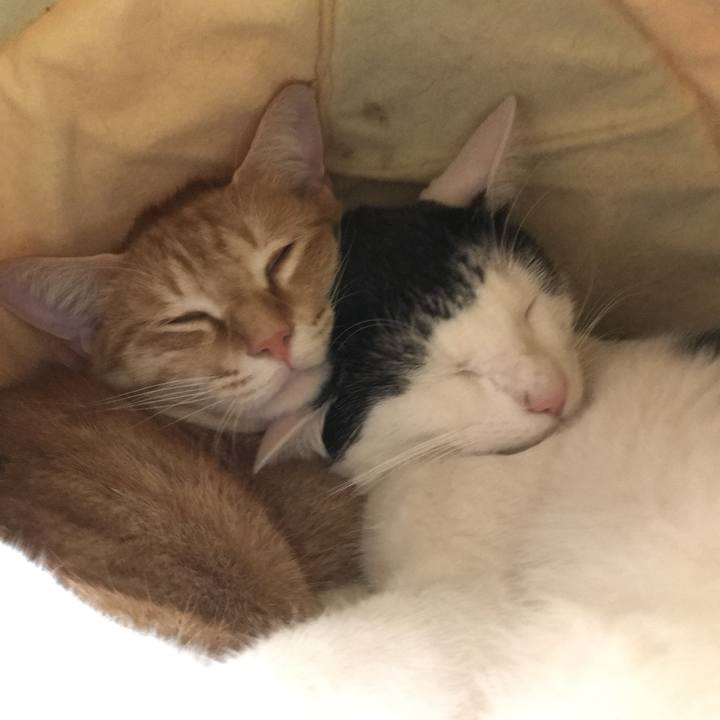 6679580f 46b7 462b a8c7 d5b6f25e35c6 1521202910903