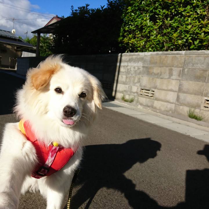 6679dfda 6bda 4a7e 8dbe aad8aac485b8 1528842787466