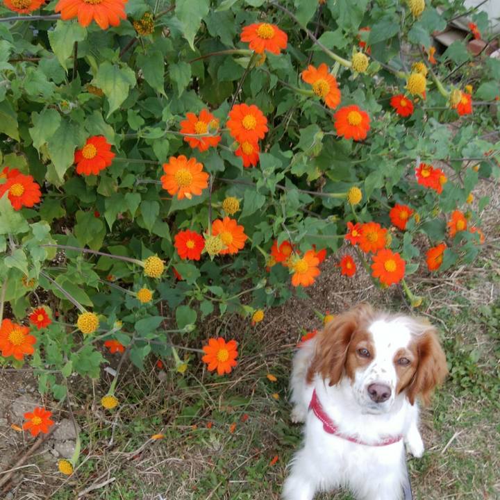 667a5776 9e65 4b70 9ecb 719e8c77d699 1542010335760