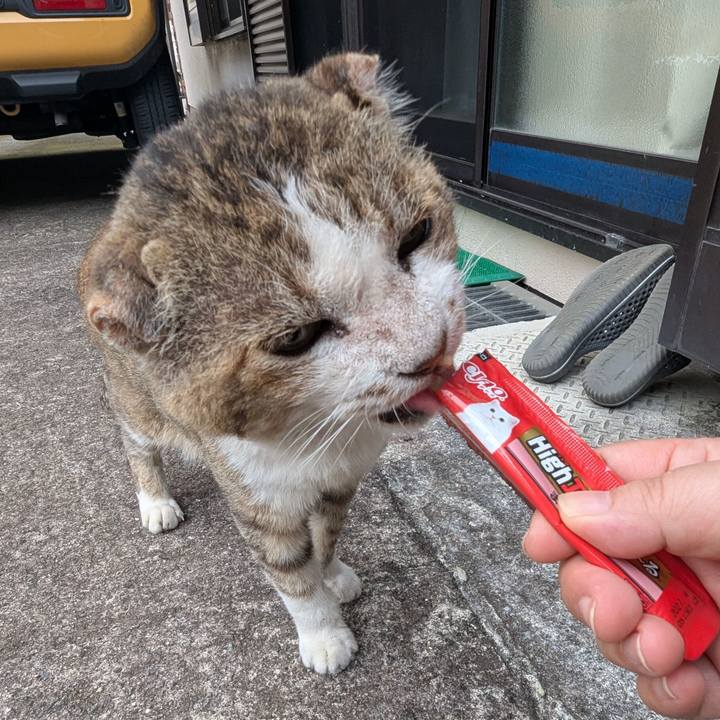 667a7397 5ab8 4258 a985 1b874943baa8 1752016700191