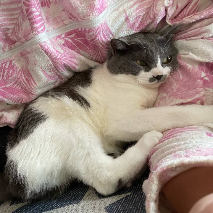 667a86fa 3ddb 4d3c b347 beb409cfdfdd 1651720772636