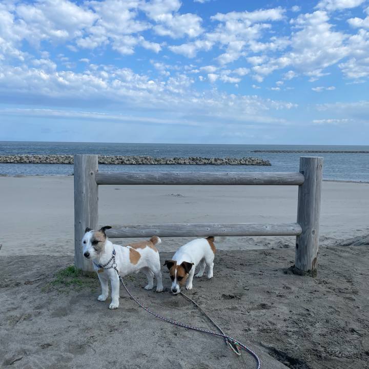 667a8c96 412a 49ce 84db 9576228aad67 1685834405618