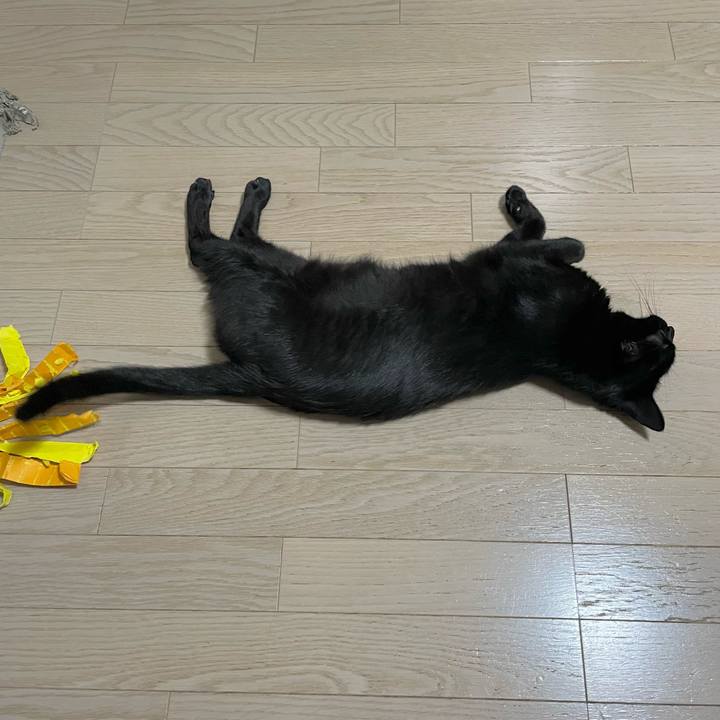 667aa2b8 cbfe 4f80 b122 c816e0664dab 1688042189530