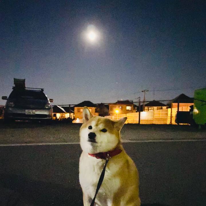 667aadfd c083 47fe 84d4 de01deaf310c 1581254695467