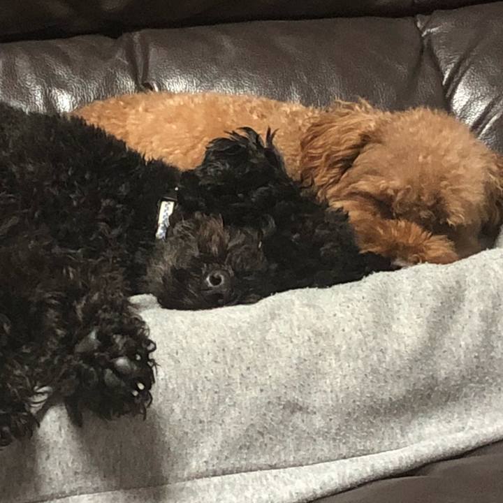 667acb1f cebf 42fb af07 f0e21c50913c 1546523885414