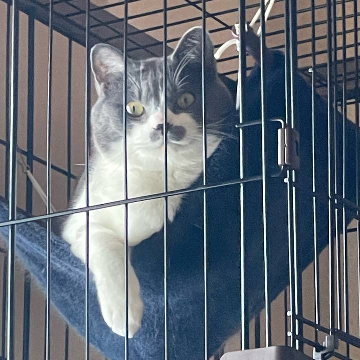 667b4712 04d2 428b 875a 4d04cea76221 1655968589468