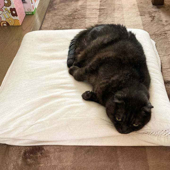 667b681e 41ba 4f42 a05f e8b2da95ca8a 1623589939118