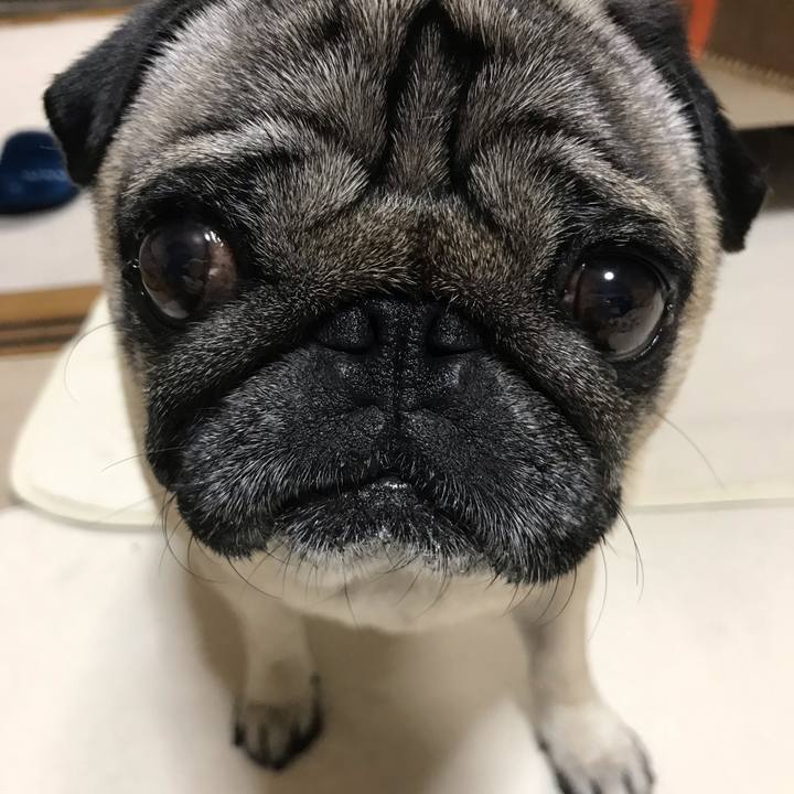 667b8225 3011 4211 a290 e85c8b880a7e 1589341095347