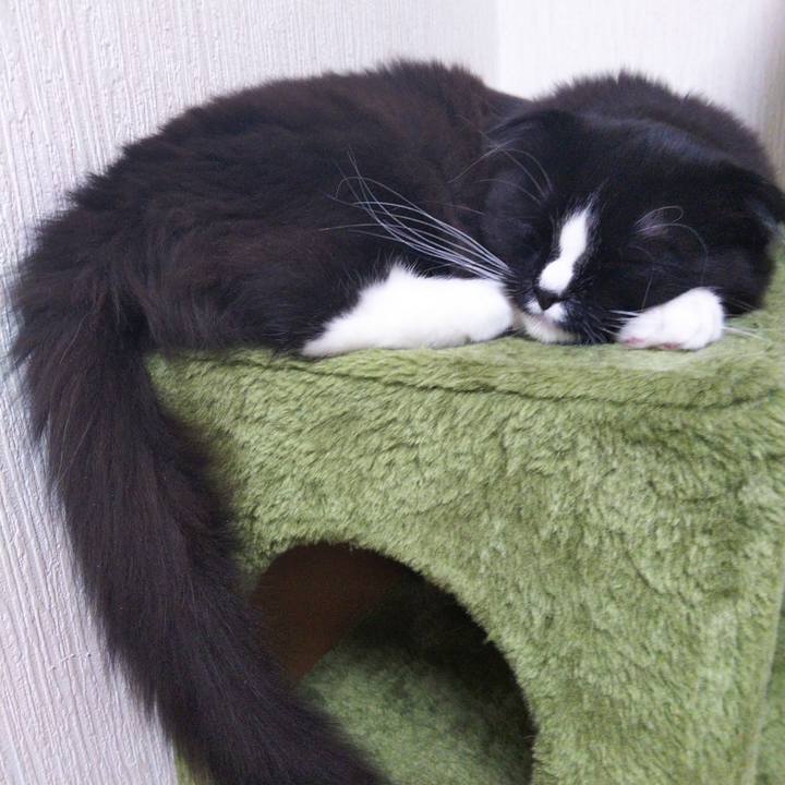 667ba04f 2e0e 4d7b a0f0 6ce1ab040192 1644148878190