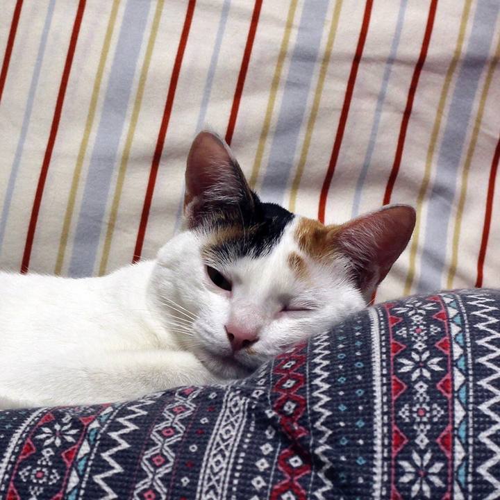 667bc4cd 62b1 4ea2 82fe 9d26fb318dec 1571356462426