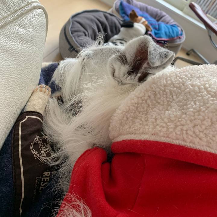 667bd6ad 6fd1 480a b2e3 01f4be30931d 1640500904339