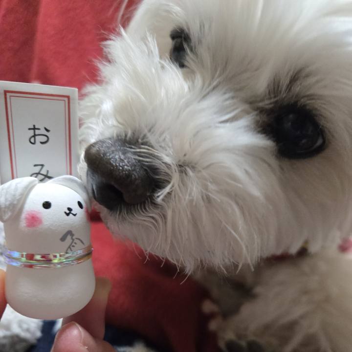 667bd81a b7c3 49c3 b0ca b419bb1af605 1774160194527