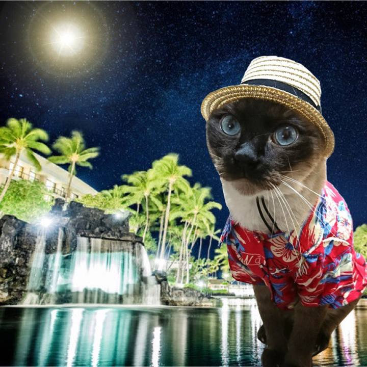 667c3009 946f 4aab 9d91 cc71cebf1378 1563611518631