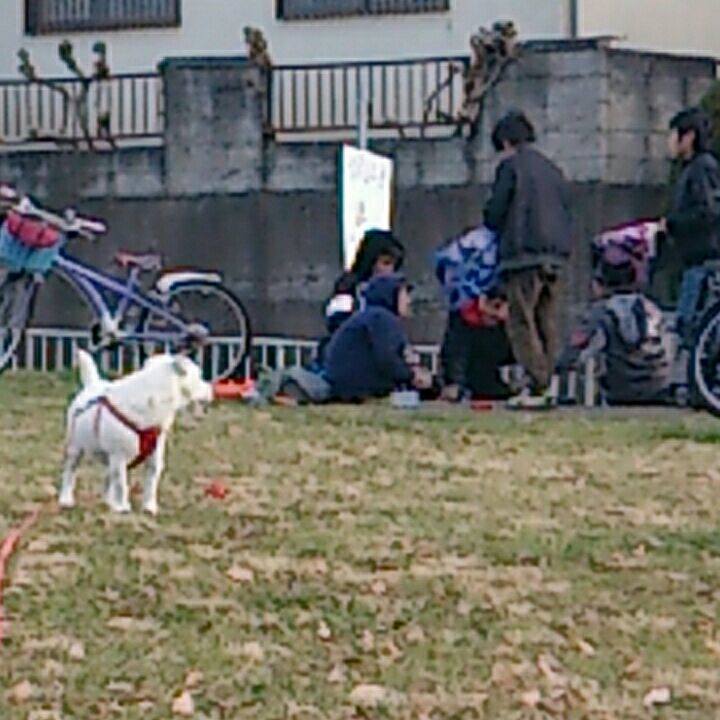 667c5fe9 309b 4499 be7f aca5d22e3187 1514329950410