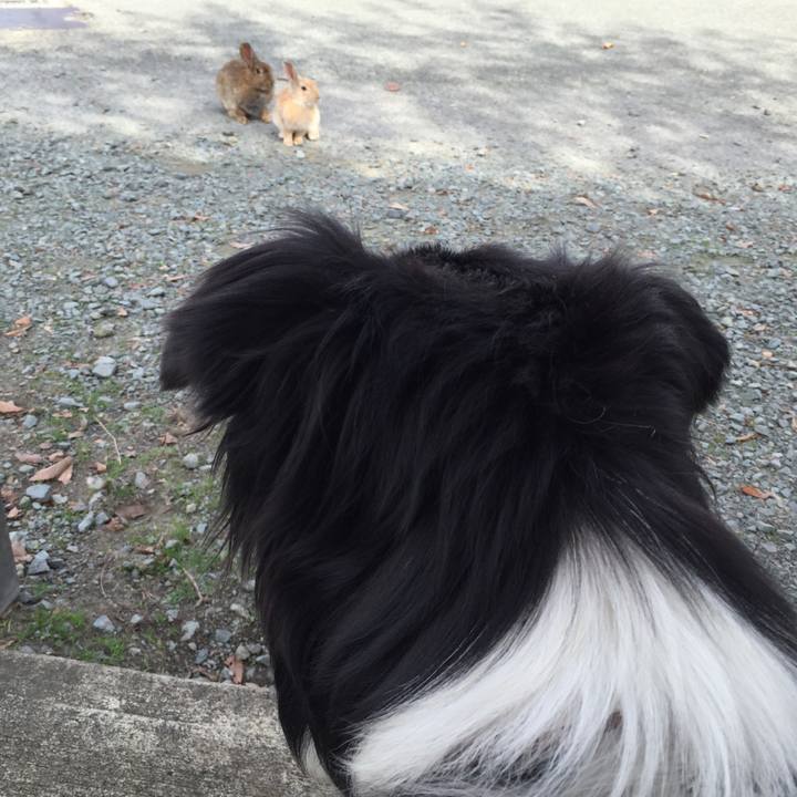 667ca6ed 9f3c 47bf 8967 1e4bb608ccca 1540184684381