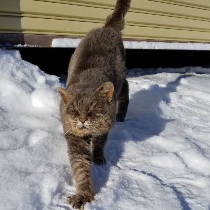 667cbbb8 ee5c 4dfa b7a5 30d9b663d355 1548851961668