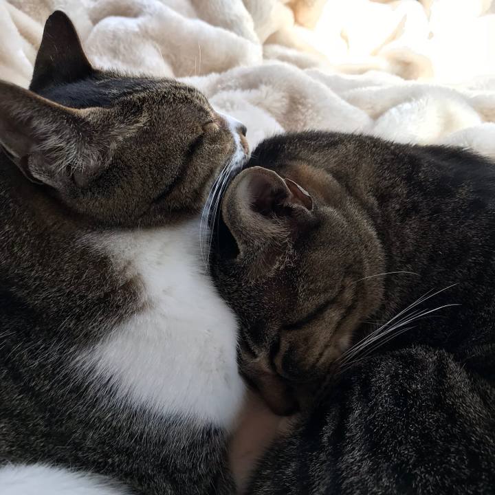 667cbc3c 8221 4c06 b725 4fbd0b6bc171 1511571584245