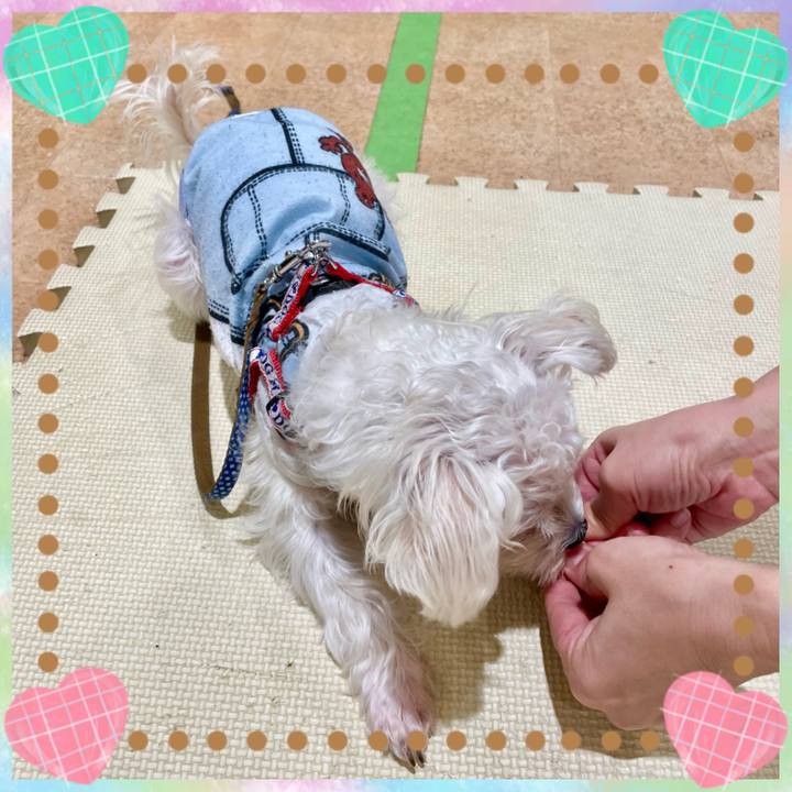 667cbcfa e9e8 49d2 8650 8518550a39f2 1639220243962