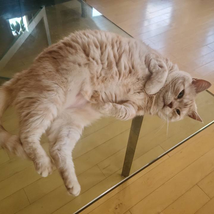 667cd95e 1180 420c b6bf 2db18abb3f80 1689754135142