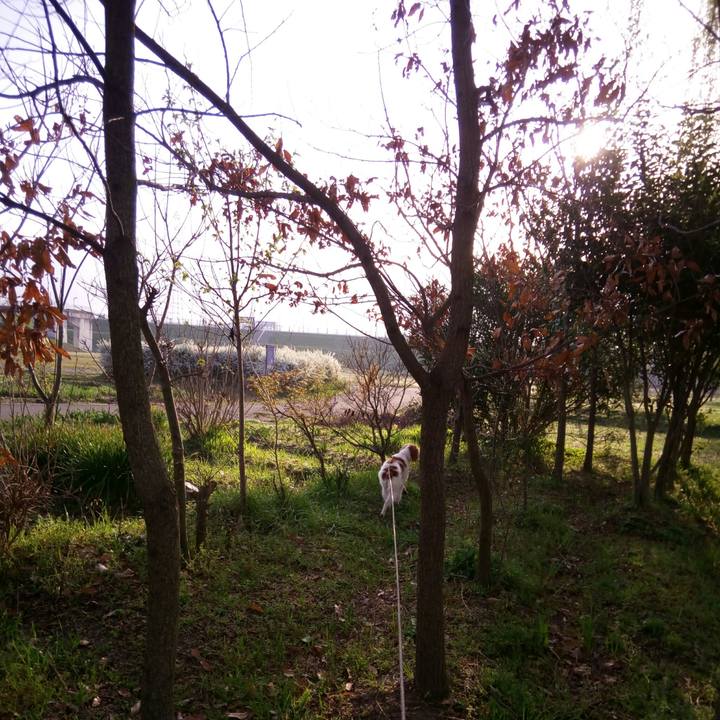 667cdea3 b92e 4735 93be e8ea46426fb2 1522282073052