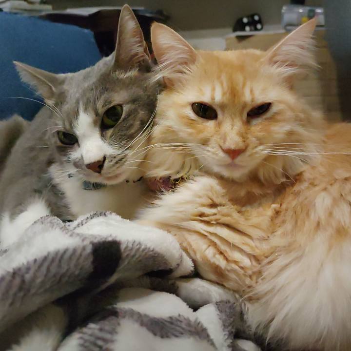 667cef26 dd14 4d3b b762 9e581013617e 1696779783419