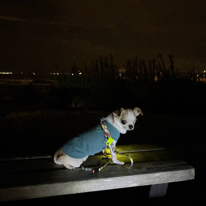 667cfe27 4d77 45ac 8517 eb6be237cc3a 1760865112145