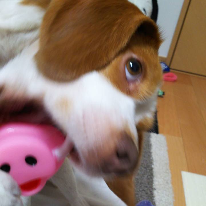 667d3705 484a 4e28 9e4b d37a65f237cd 1550066887859