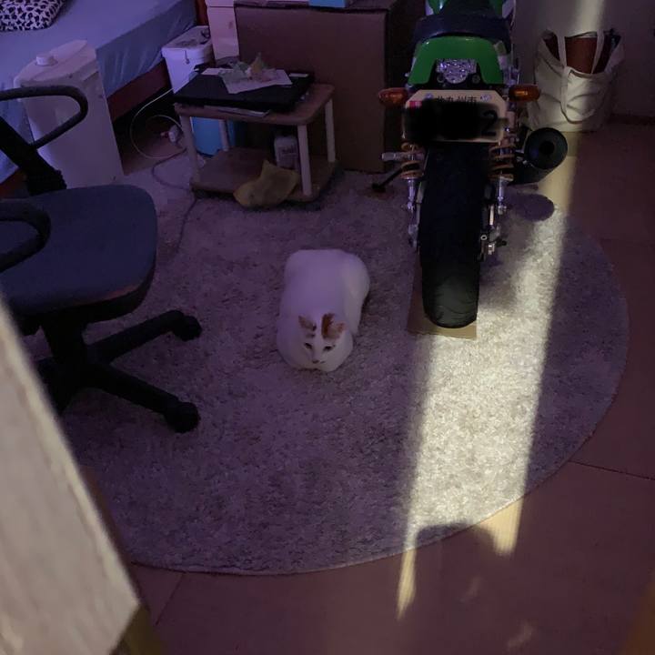 667d9ff9 a4a2 4f6f ad9c ef8aa3c1a99c 1620397805456