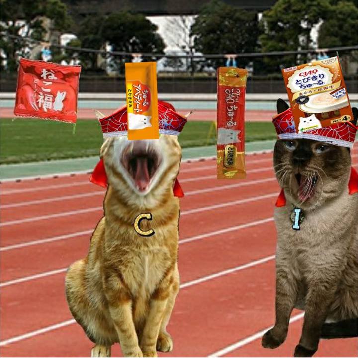 667da4cb 6cc4 49c7 9002 9f9bd4477f26 1572168100696