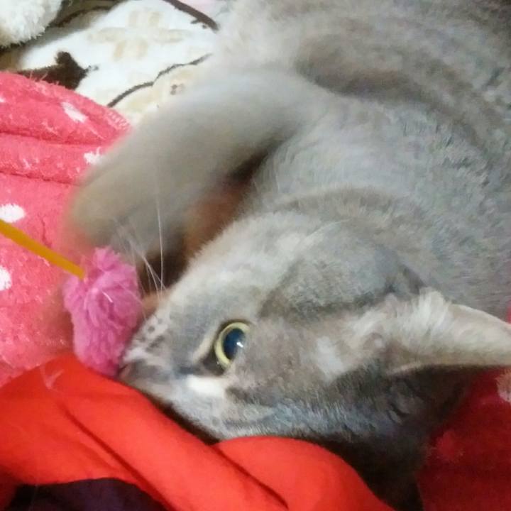 667df510 785a 44ae 8924 efd04f0ca301 1552744262100