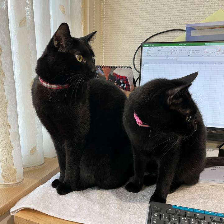 667dfd74 4a25 42e3 b9fb 7c0a39c5b614 1638836548559