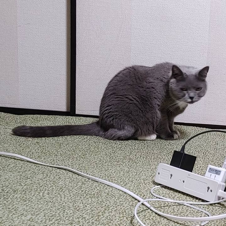 667e27ea 25b9 42fd 86ba 180950d76e86 1707572338997