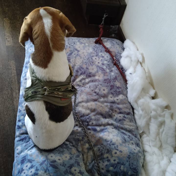 667e37d5 09a9 4316 9a85 7a5eb347dc36 1671095204813