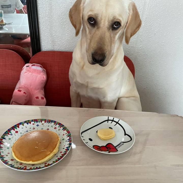 667e69df 32c2 4c91 9d98 ceefdd0a2fbc 1662430733002