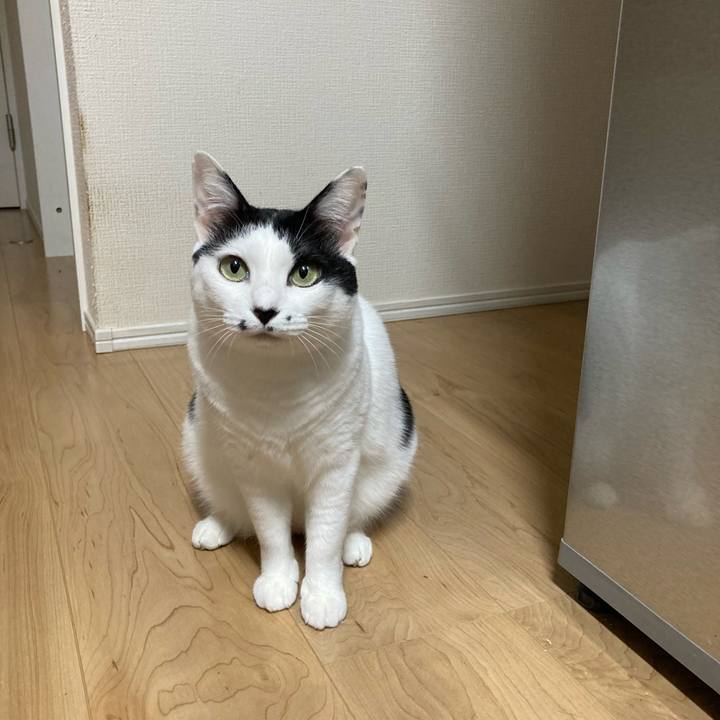 667eb67b 9eca 47ba b696 226575d12c25 1758658576062