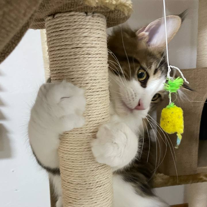 667ee050 785e 4841 b59f 3c996114776a 1638394486245