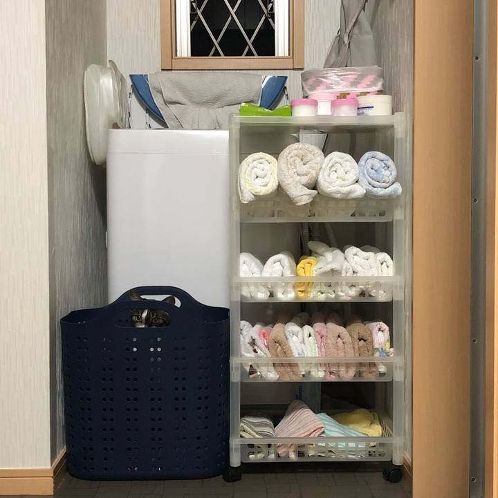 667f0708 55d2 473c 98ef 91b94a362363 1532896590087