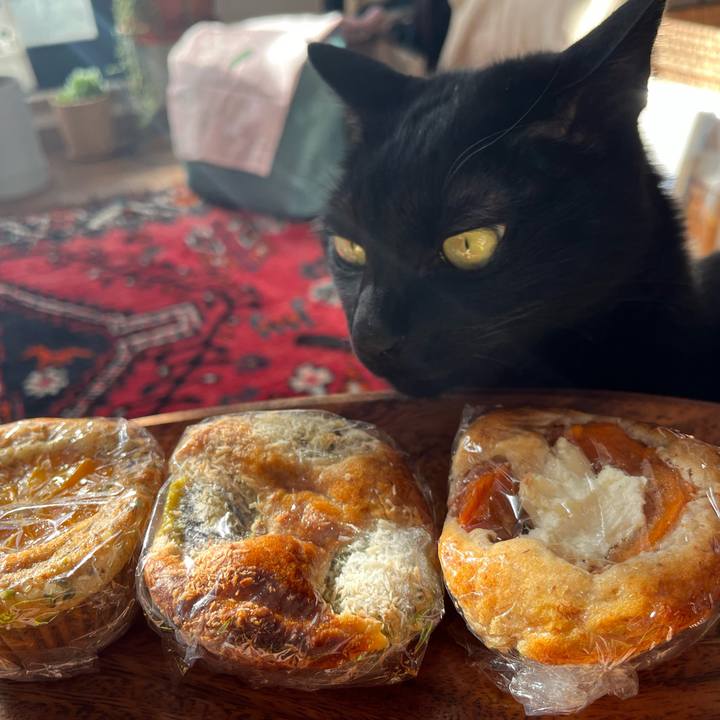 667f07a4 25db 4be5 b138 d12c189713aa 1735528940399