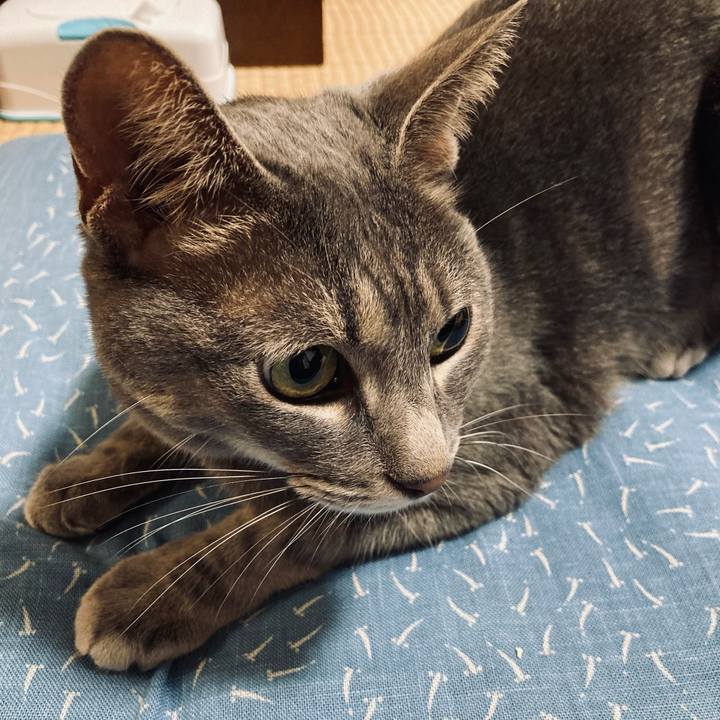 667f09e4 e256 46f1 8681 a1dc551a8c58 1628414185622