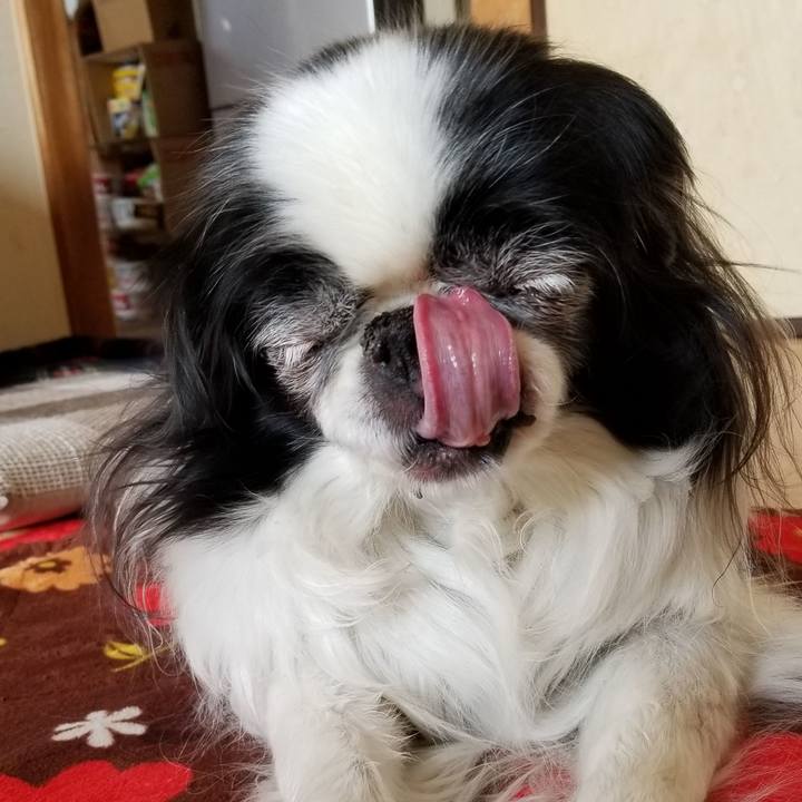 667f16a6 7d7c 42cf 9e5d 5ea8cbc82cb8 1549794924940