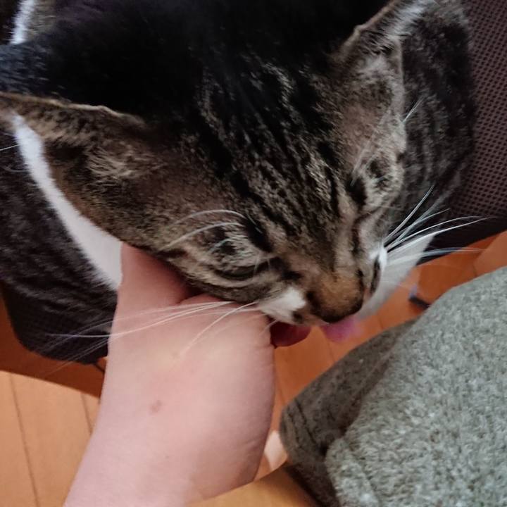 667f16d3 ac23 403a b9fd 869c2e628953 1546597790204