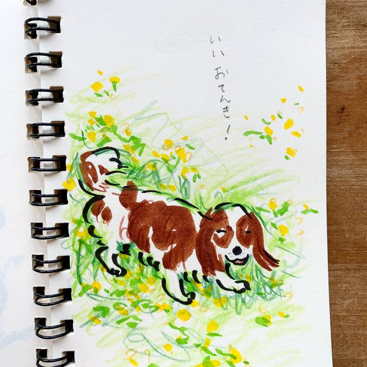 667f671d 9433 4494 89ad 443a4bb4d7d3 1587785770165