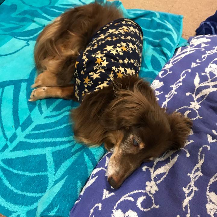 667f72ea 4dbe 4df0 a404 09a634616686 1537920686038