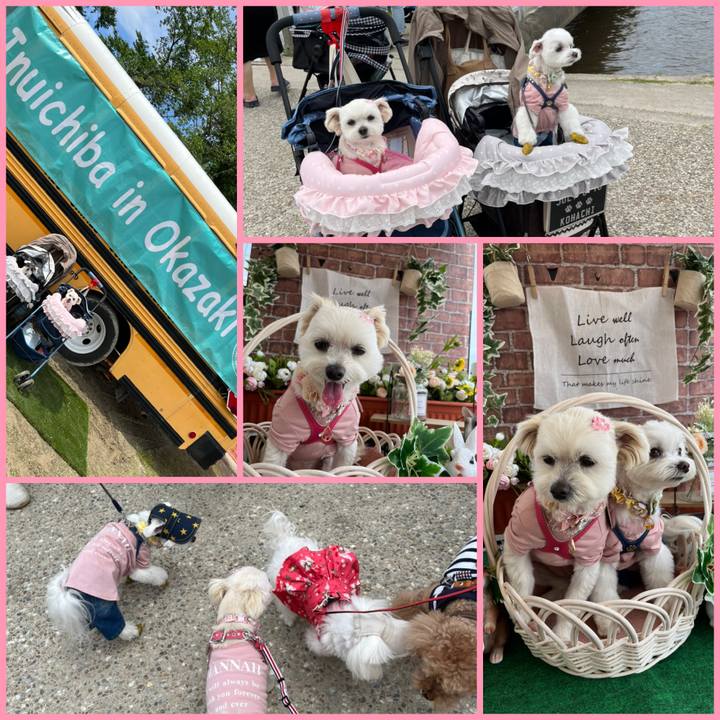 667f7ce3 639b 467d ac75 2d13086c8a76 1652525950680