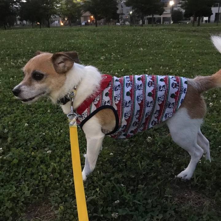 667faa23 505b 475b b1e0 a4a20933a1fa 1564657219093