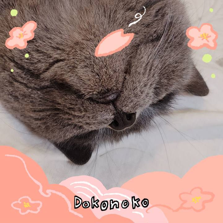 667fc5a8 e3a0 4585 afbf c3fa86611446 1775267323989