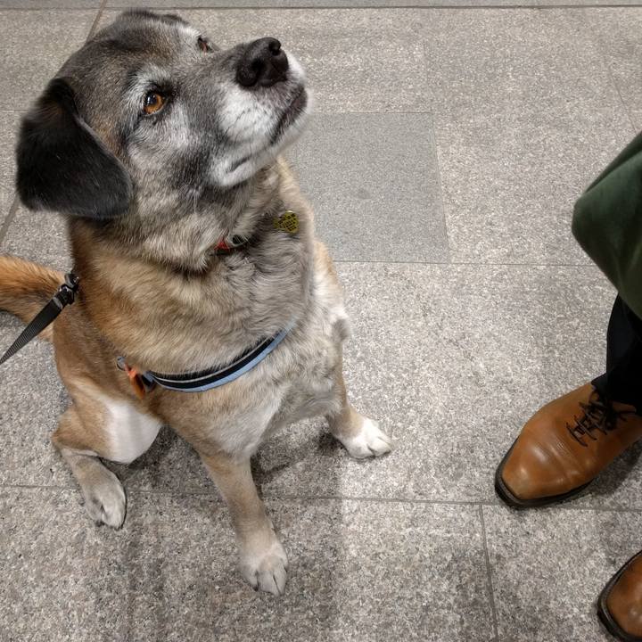 667fd0b3 6ced 47b6 adc8 e7c8928dd4f3 1714095221206