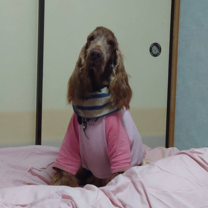 667fe176 1d72 4c87 b121 cedededa0ba7 1677732070937