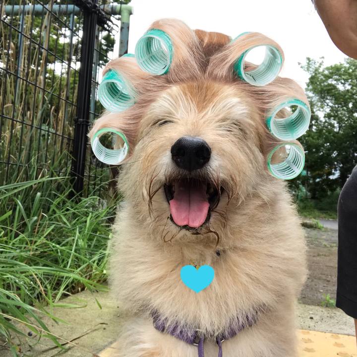 6680384b d525 4363 becd 5c4de3d9d508 1563534625874